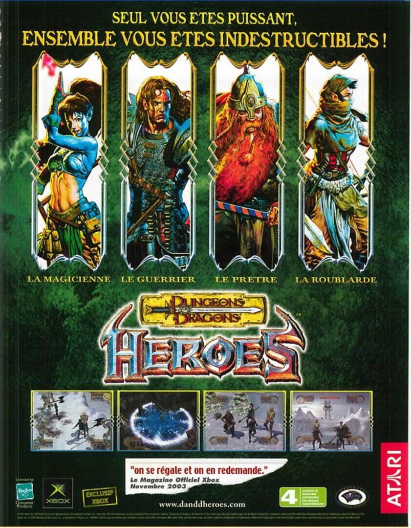 Dungeons & Dragons: Heroes artwork 3
