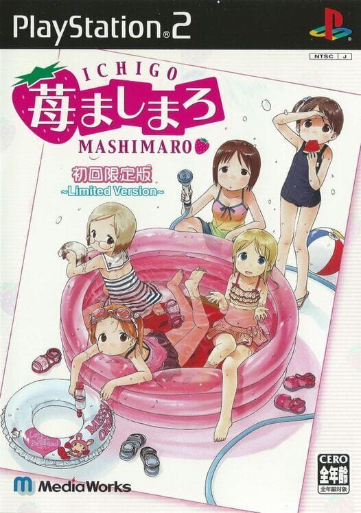 Ichigo Mashimaro PS2 box art