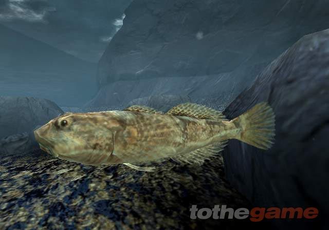 Reel Fishing III screenshot 4
