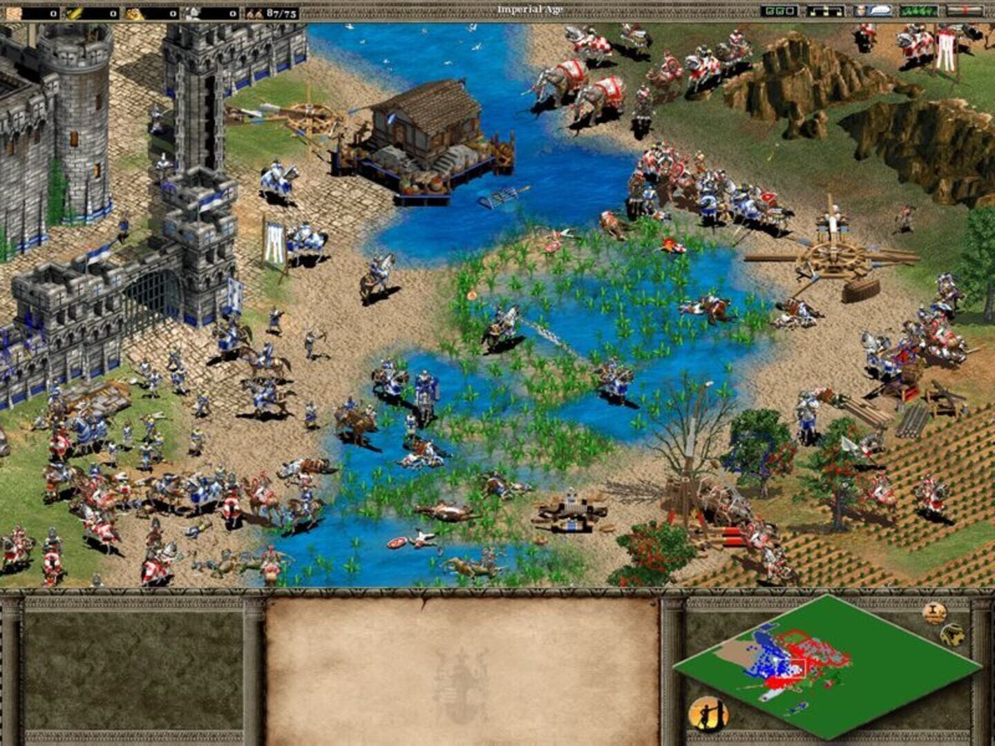 Age of Empires II: The Age of Kings screenshot 11