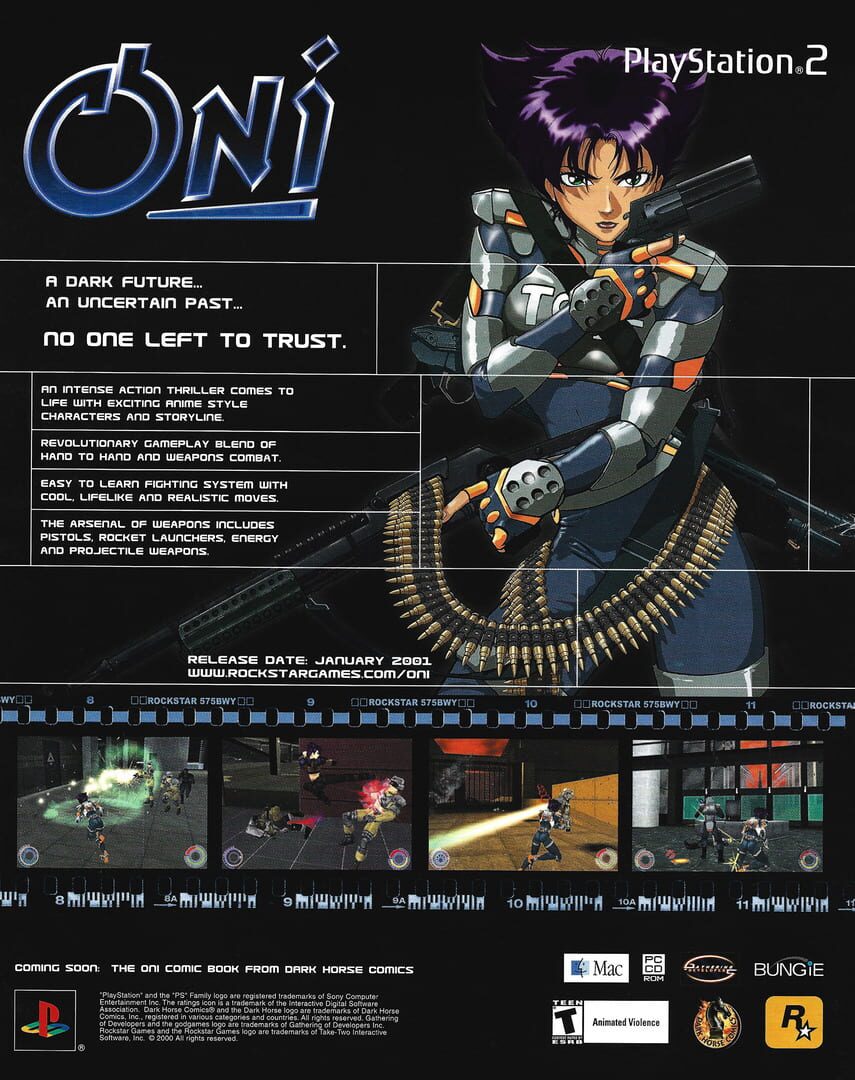 Oni artwork 3