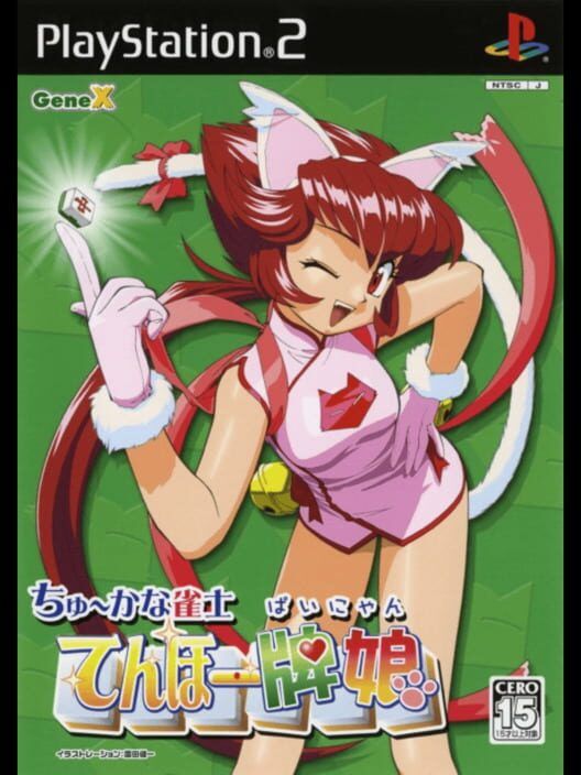 Chuukana Janshi Tenhou Painyan PS2 box art