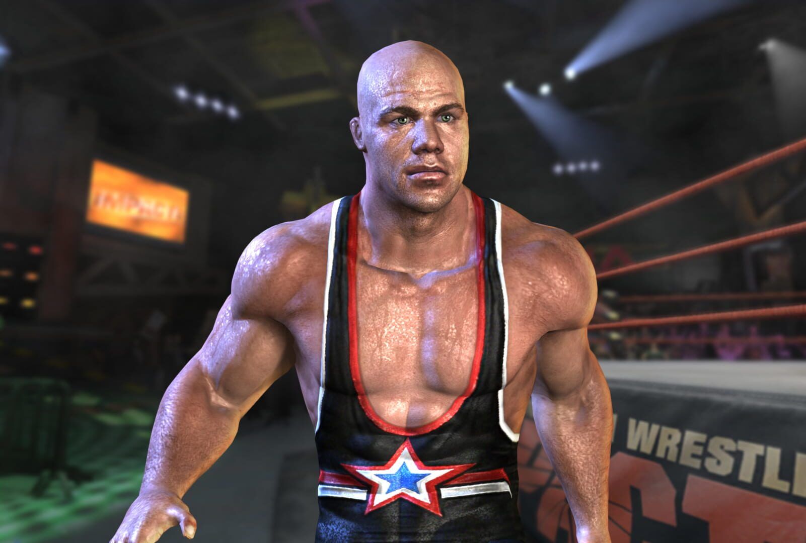 Tna Impact screenshot 3