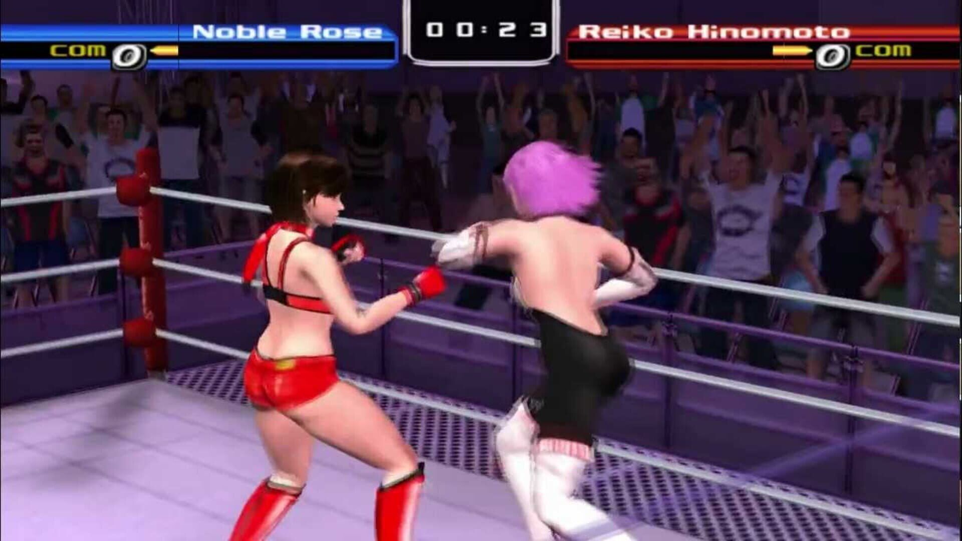 Rumble Roses screenshot 14