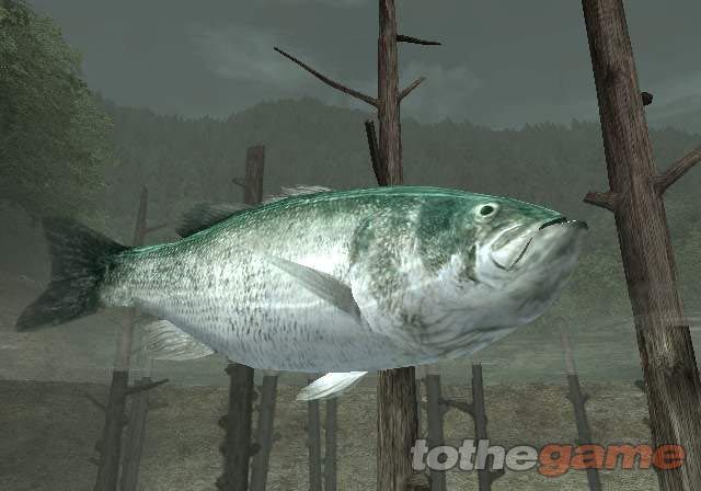 Reel Fishing III screenshot 7