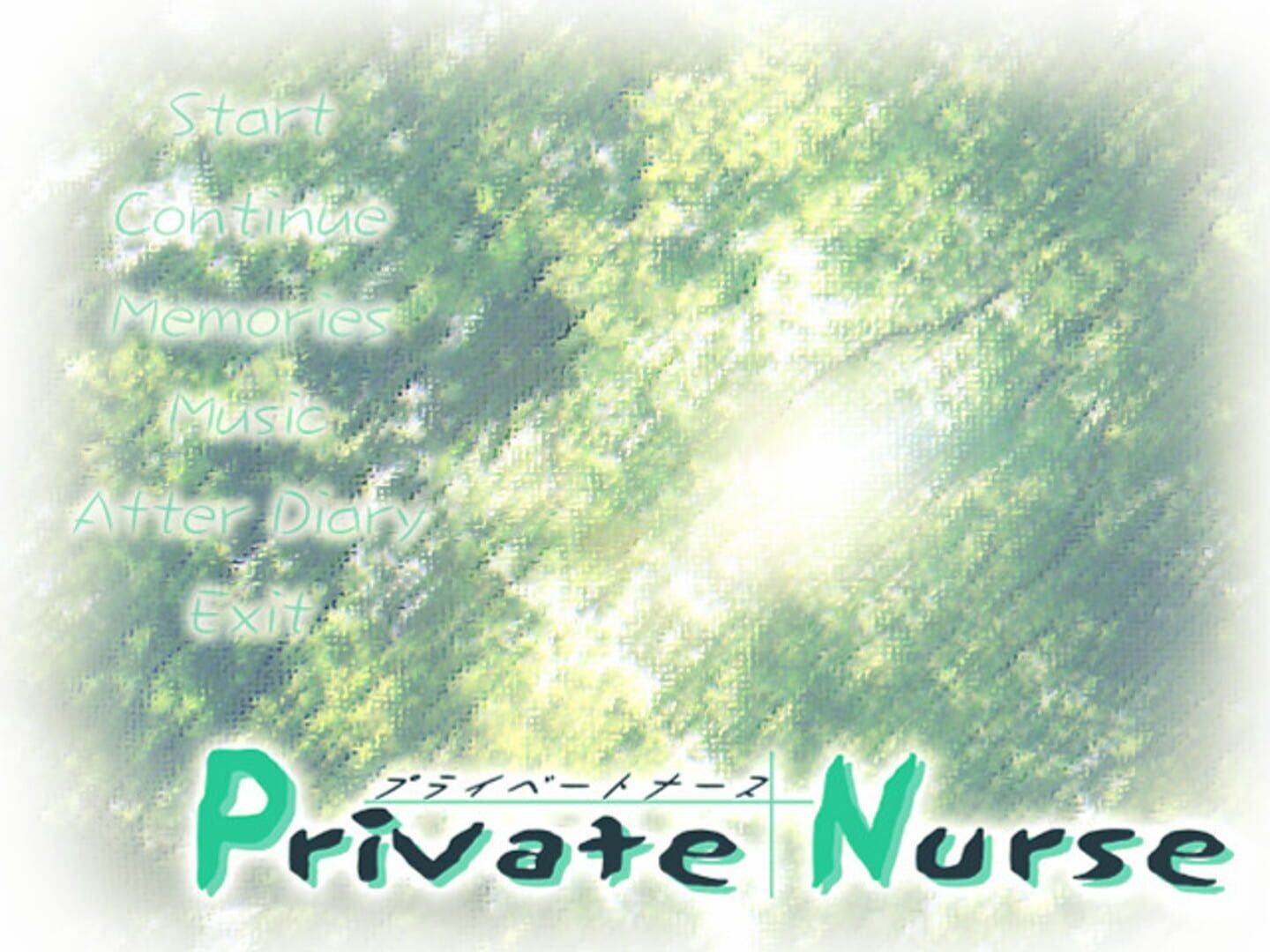 Private Nurse screenshot 5