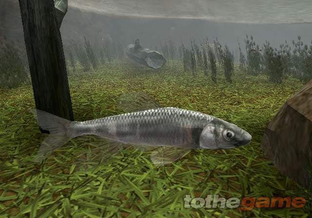 Reel Fishing III screenshot 9