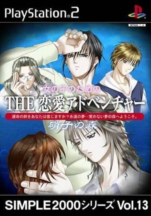 Simple 2000 Series Vol. 13: The Renai Adventure 2 - Garasu No Mori PS2 box art
