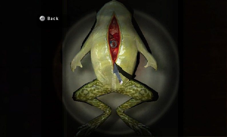 Silent Hill: Shattered Memories screenshot 8