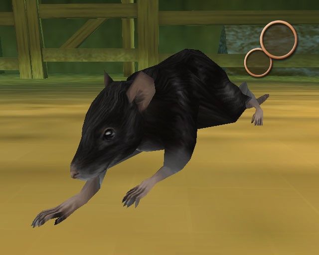 Charlotte’s Web screenshot 5