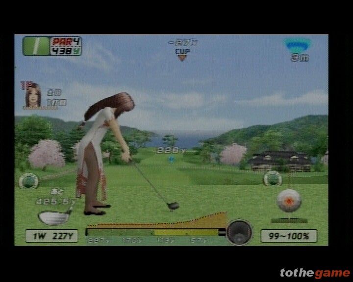 Eagle Eye Golf screenshot 14
