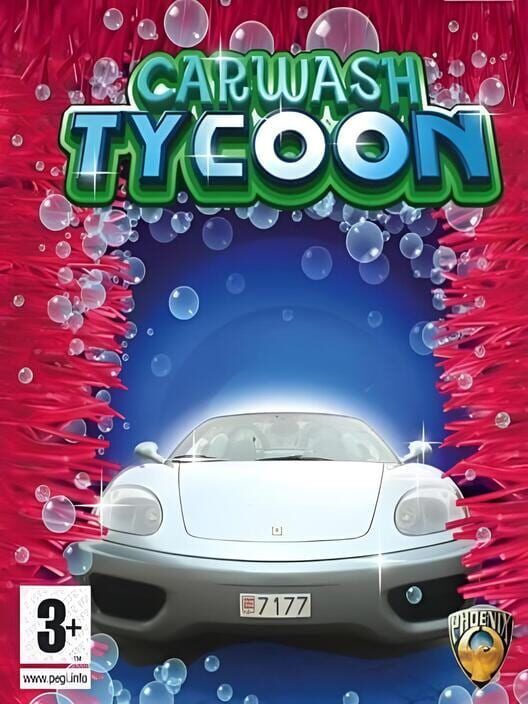 Carwash Tycoon PS2 box art