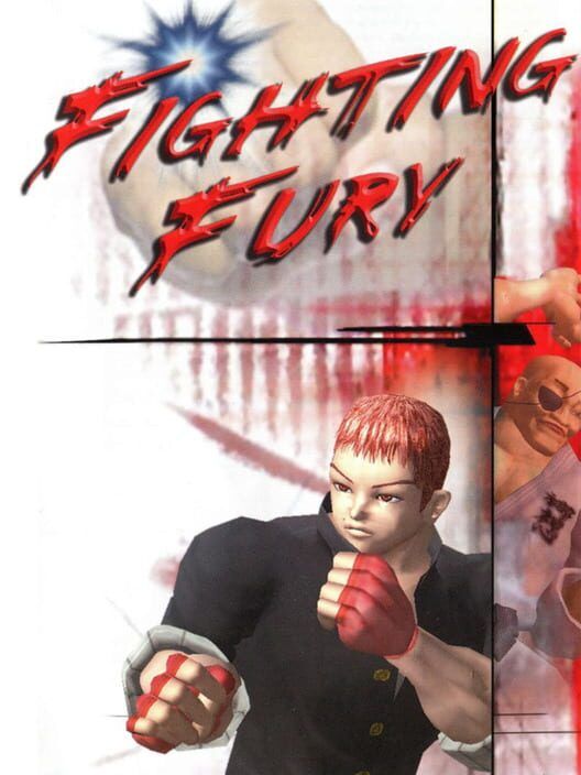 Fighting Fury PS2 box art