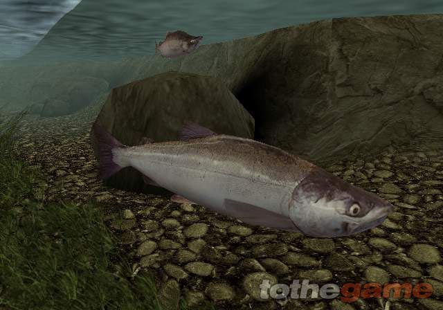 Reel Fishing III screenshot 2