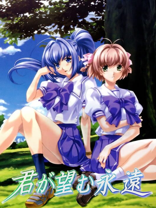 Kimi Ga Nozomu Eien PS2 box art