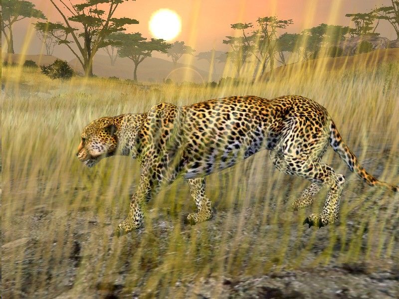Cabela’s African Safari screenshot 4
