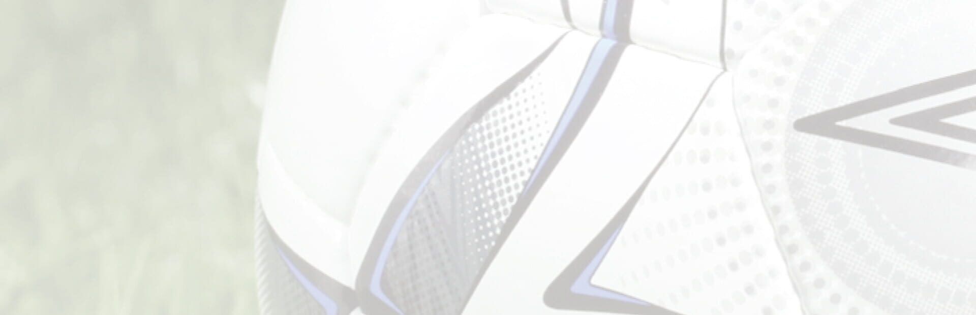 Premier Manager 08 artwork 1