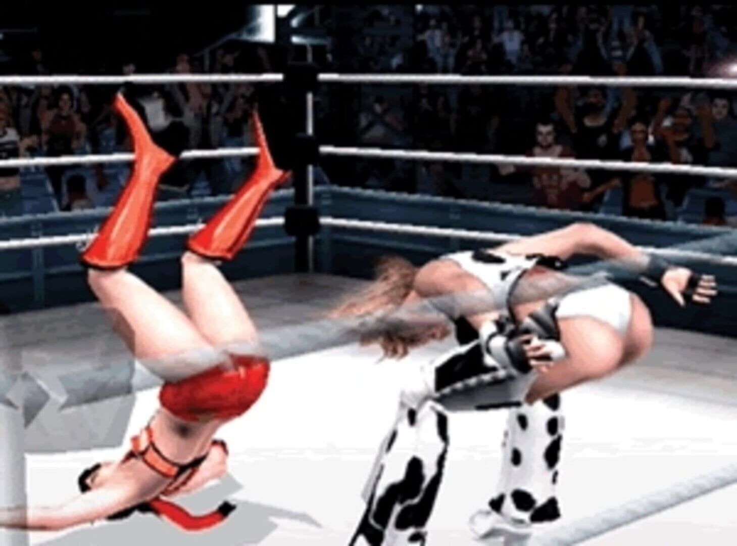 Rumble Roses screenshot 12