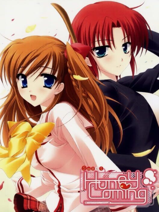 Sweet Honey Coming PS2 box art