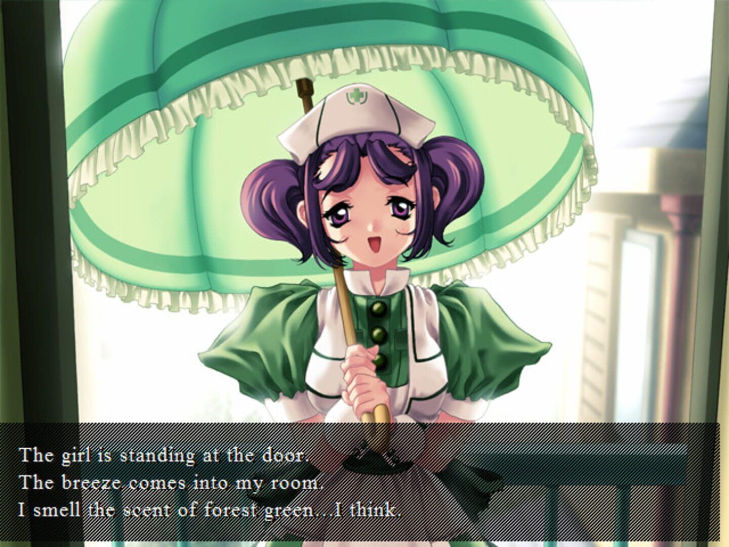 Private Nurse screenshot 2