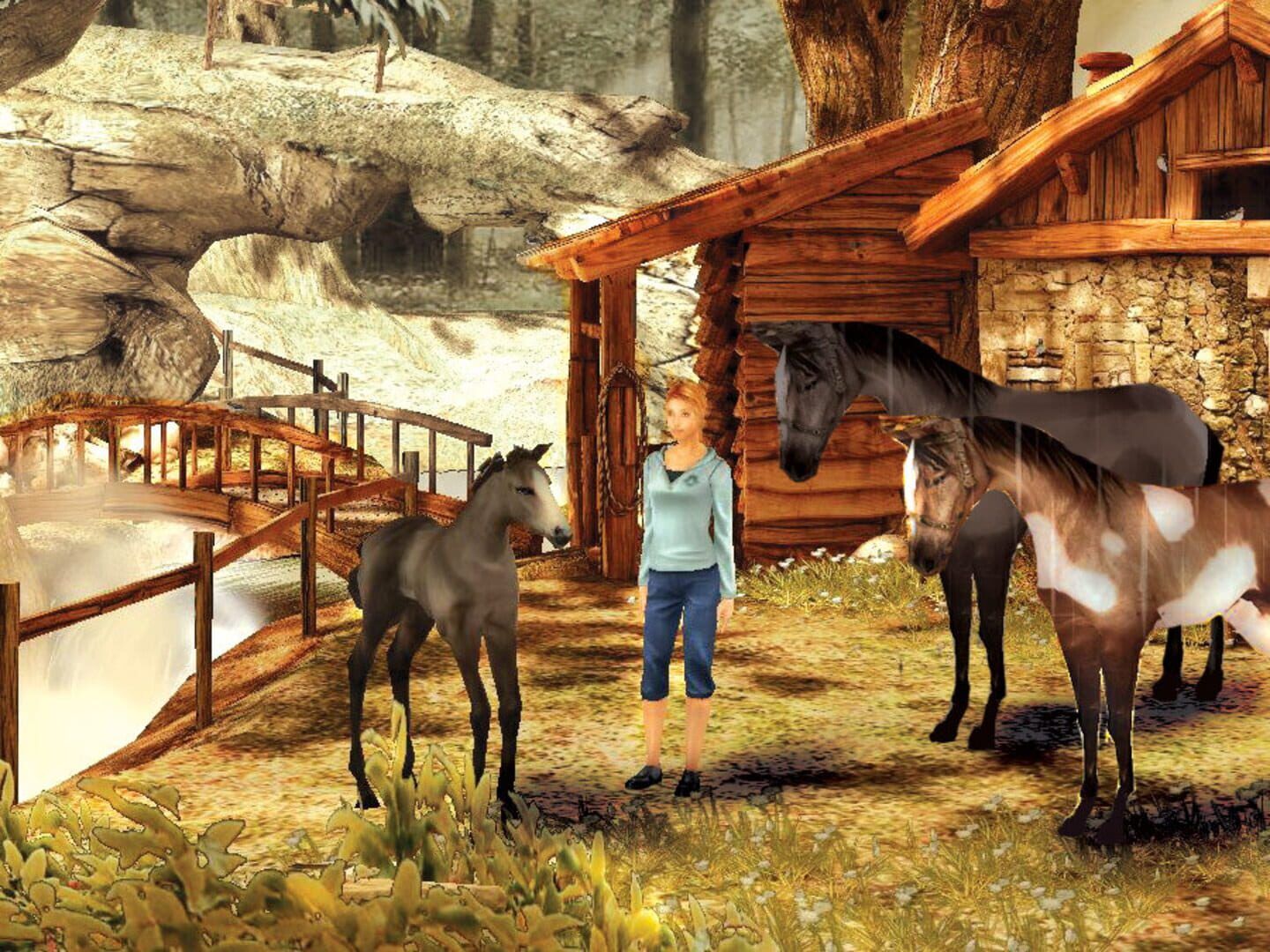 Petz: Horsez 2 screenshot 5
