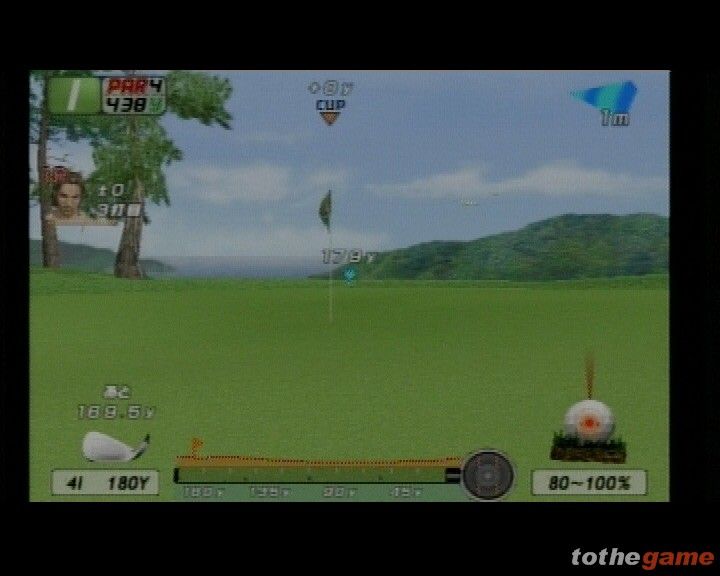 Eagle Eye Golf screenshot 3