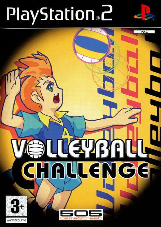 Volleyball Challenge PS2 box art