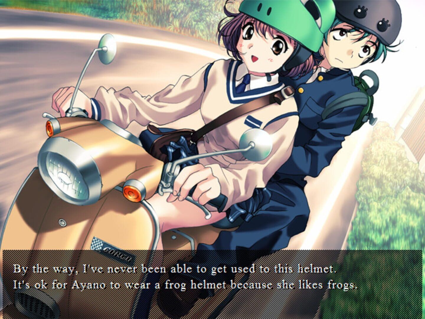 Private Nurse screenshot 4