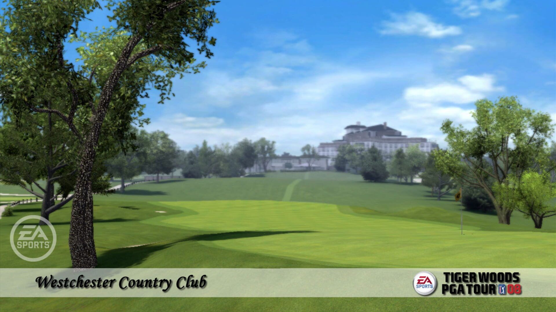 Tiger Woods PGA Tour 08 screenshot 5