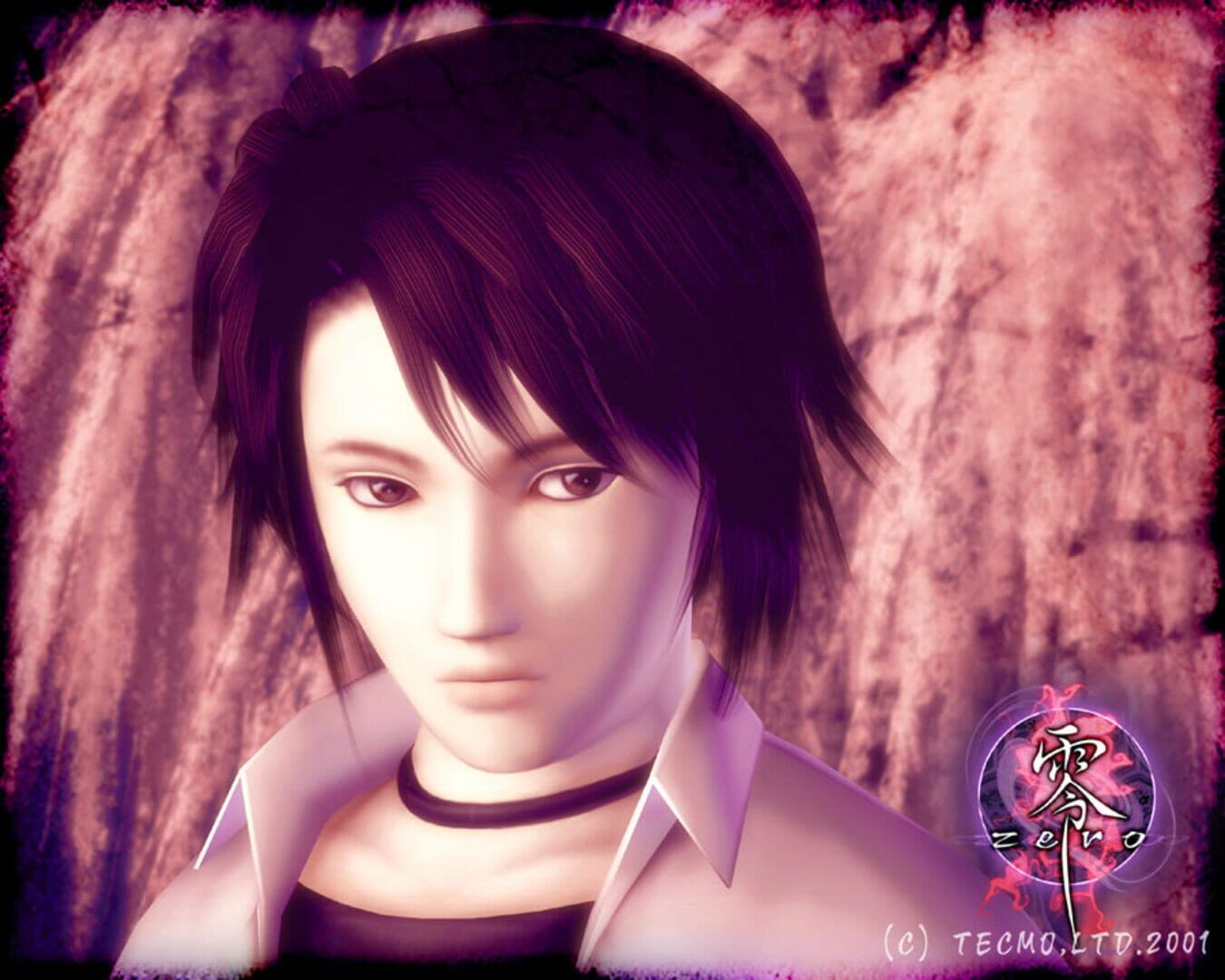 Project Zero (Aka Fatal Frame) artwork 2