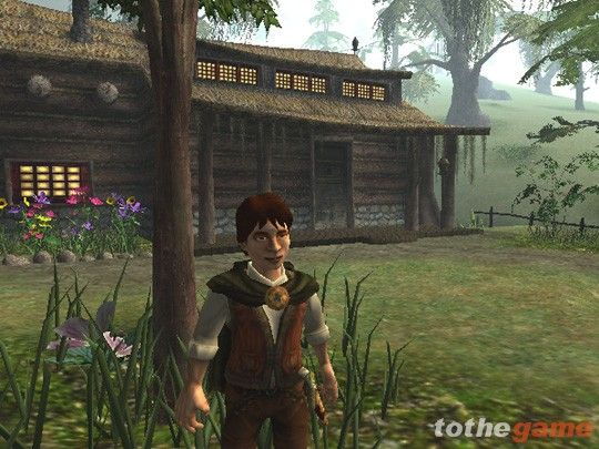 Lord of the Rings: Fellowship of the Ring screenshot 7