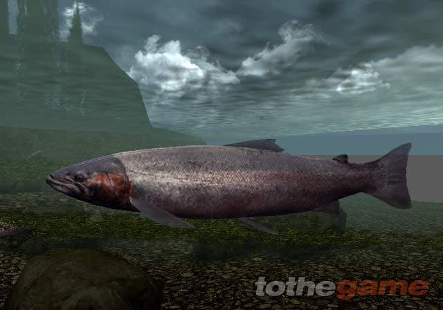 Reel Fishing III screenshot 8