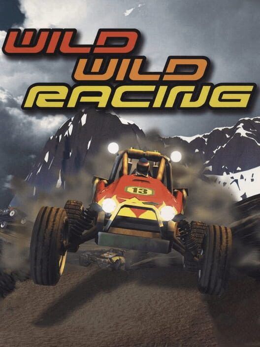 Wild Wild Racing PS2 box art
