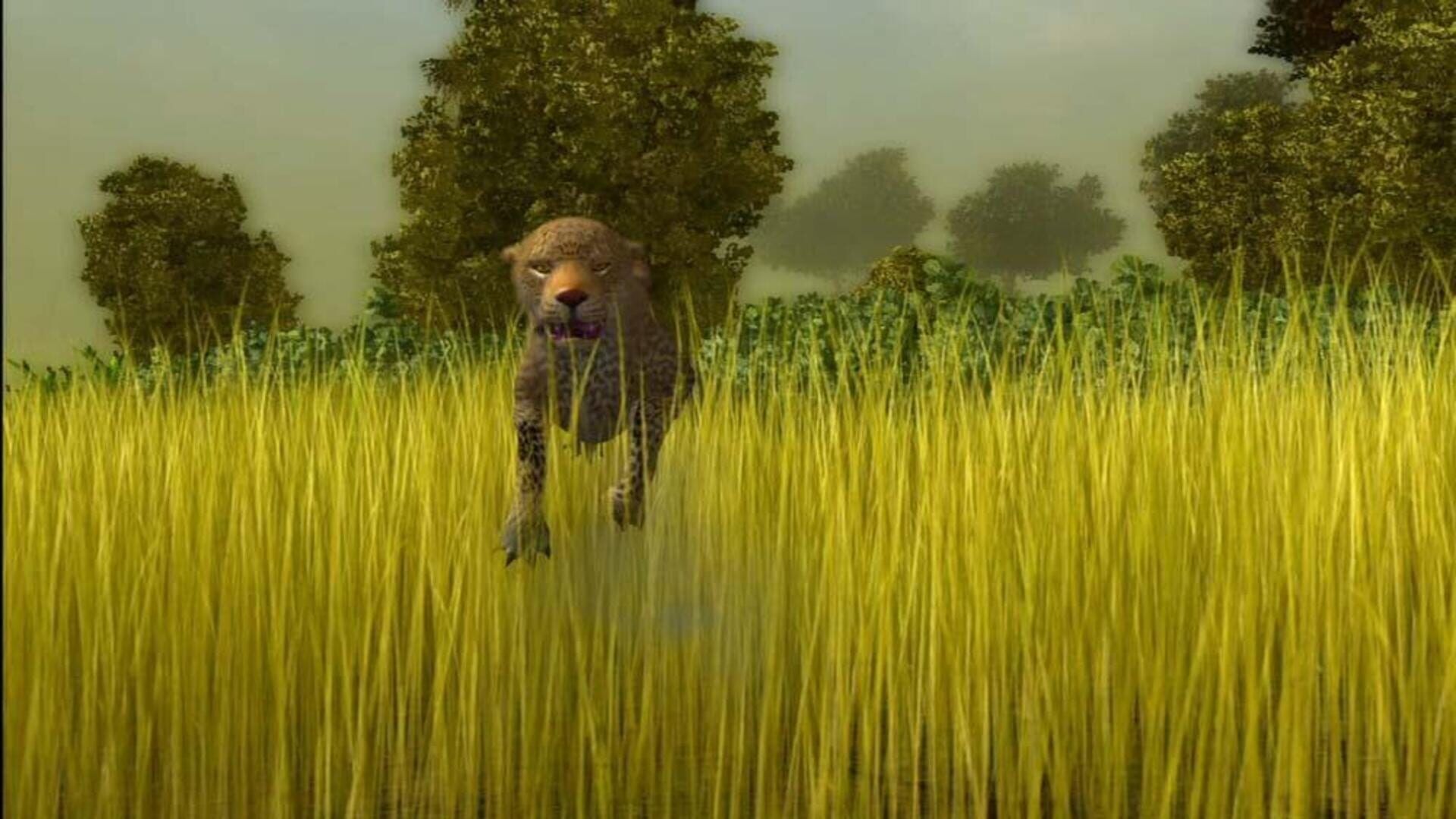 Cabela’s African Safari screenshot 11