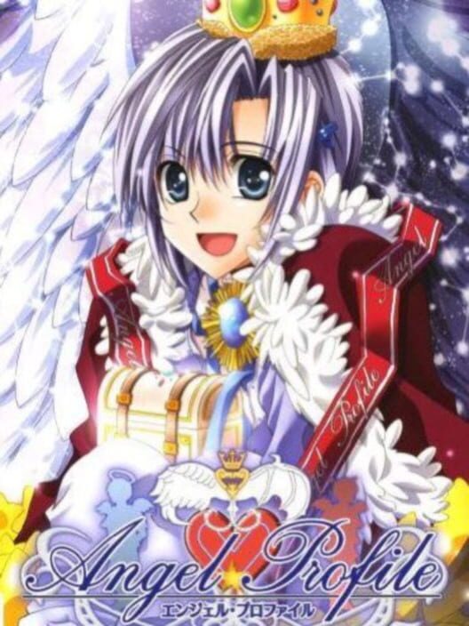 Angel Profile PS2 box art