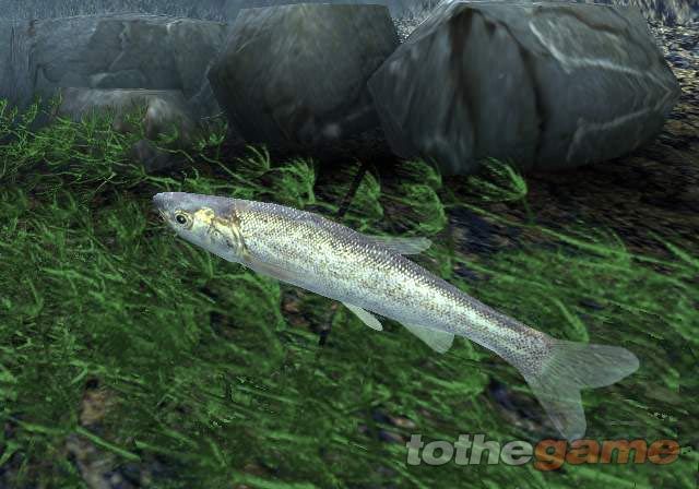Reel Fishing III screenshot 6