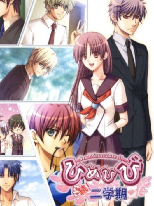 Himehibi: New Princess Days Zoku! Nigakki PS2 box art