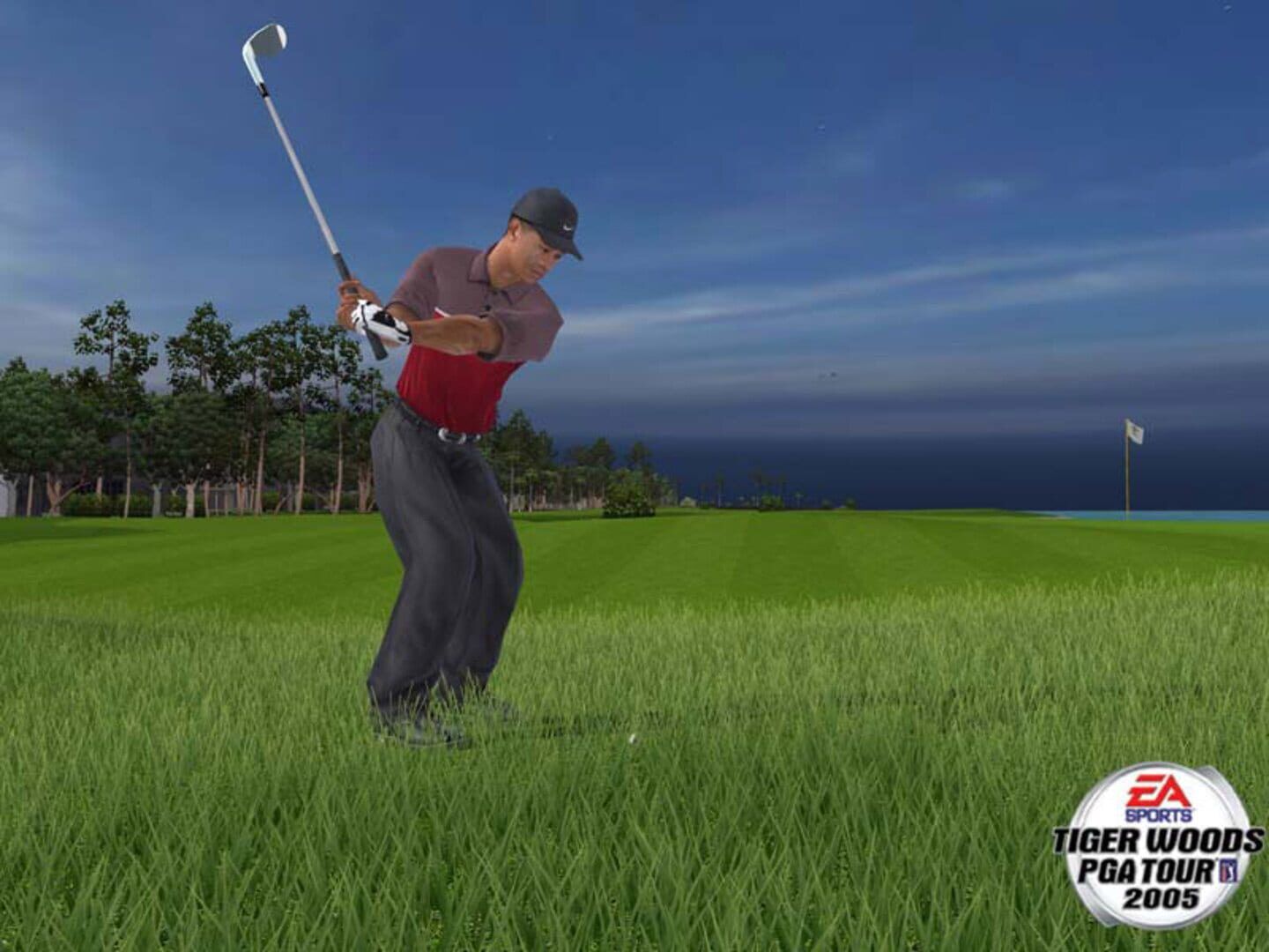 Tiger Woods PGA Tour 2005 screenshot 5