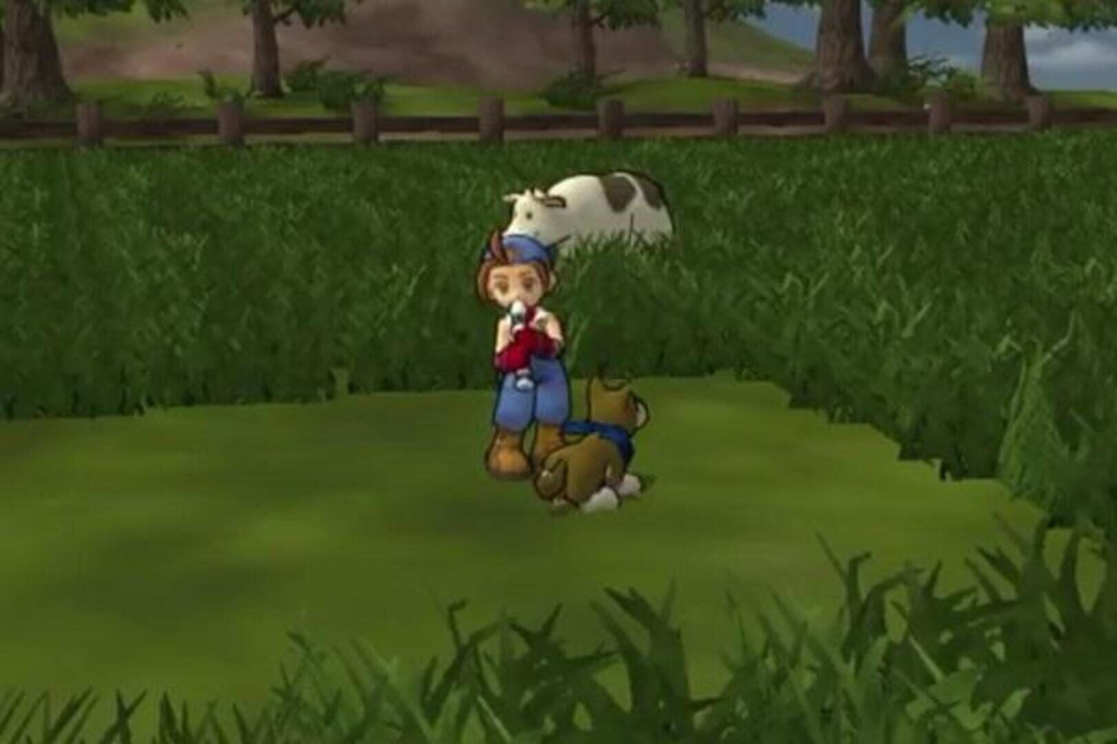 Harvest Moon: Save the Homeland screenshot 5