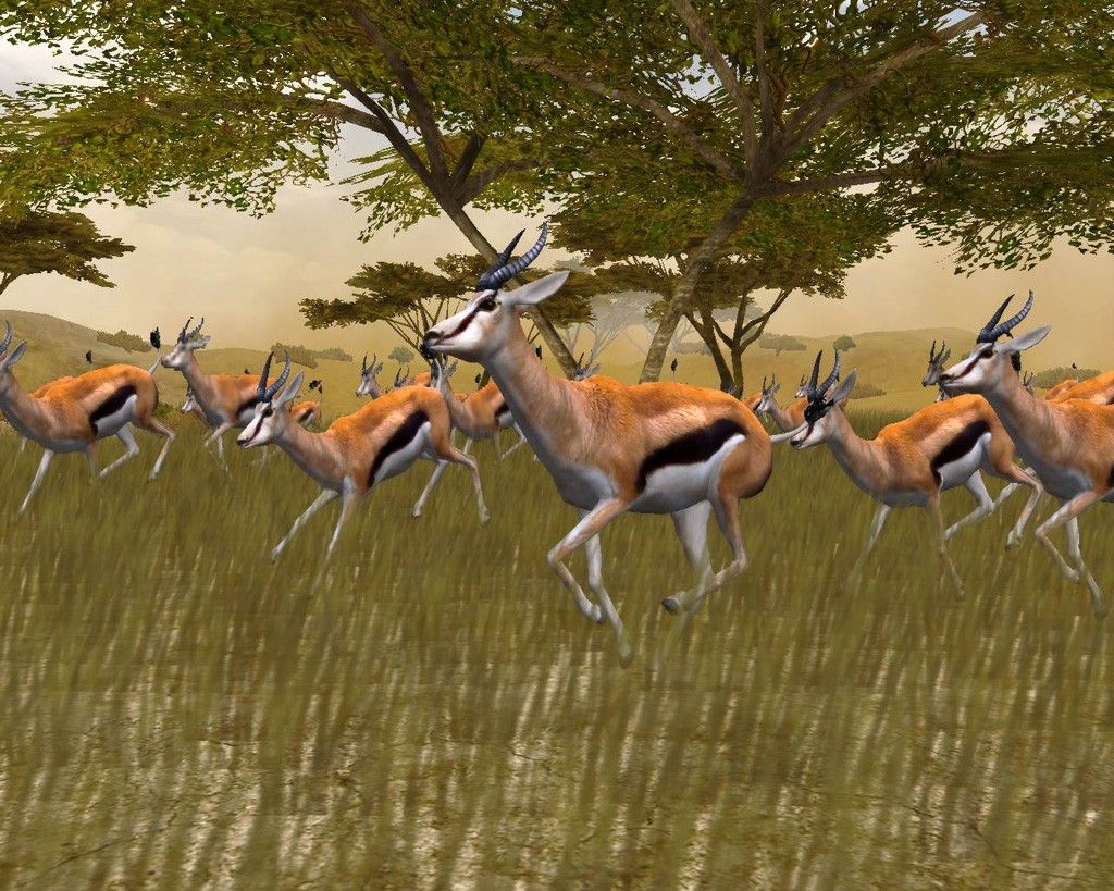 Cabela’s African Safari screenshot 1