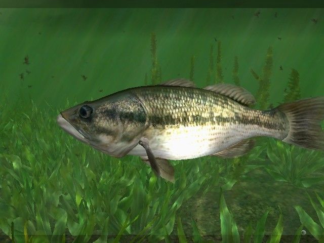 Rapala Pro Fishing screenshot 3