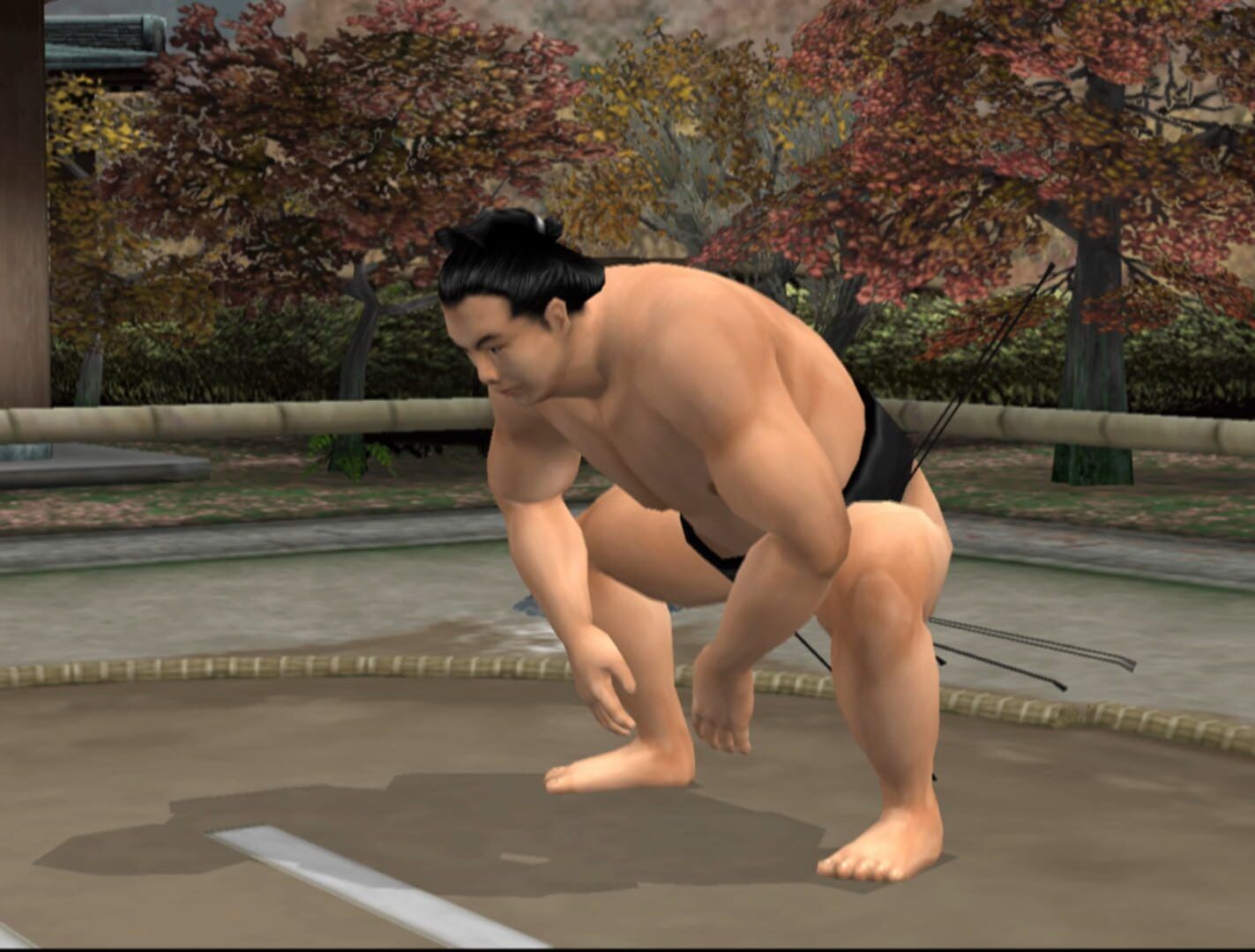 Nihon Sumo Kyokai Kounin: Nihon Oozumou Gekitou Honbasho-Hen screenshot 4