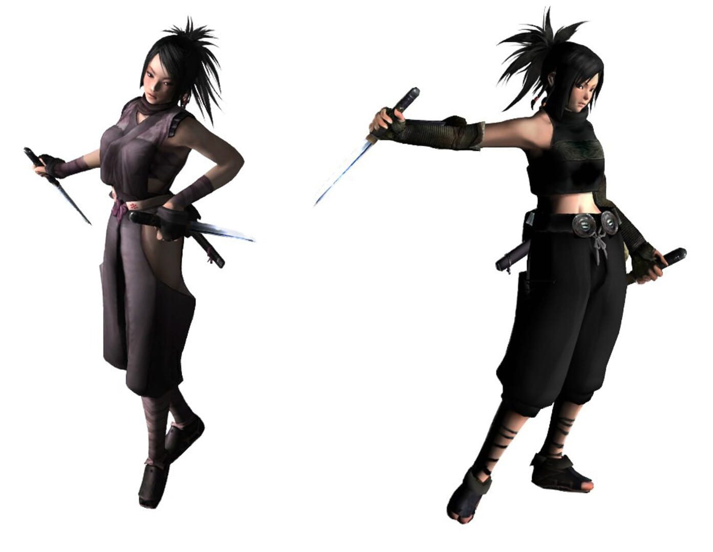 Tenchu: Fatal Shadows artwork 2