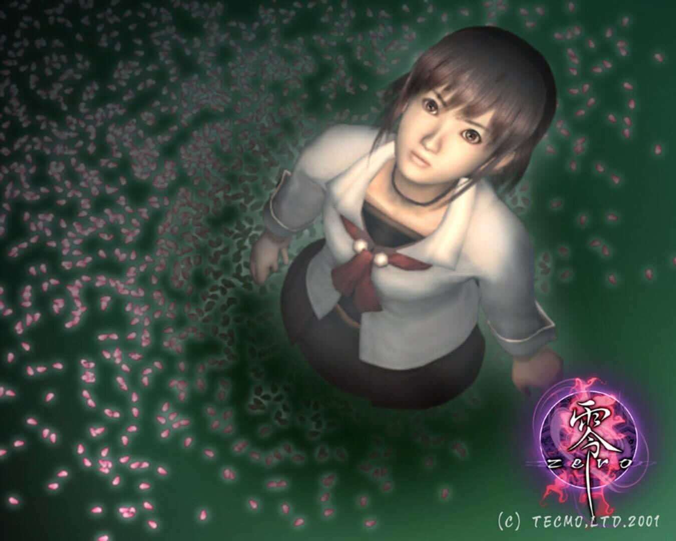 Project Zero (Aka Fatal Frame) artwork 1