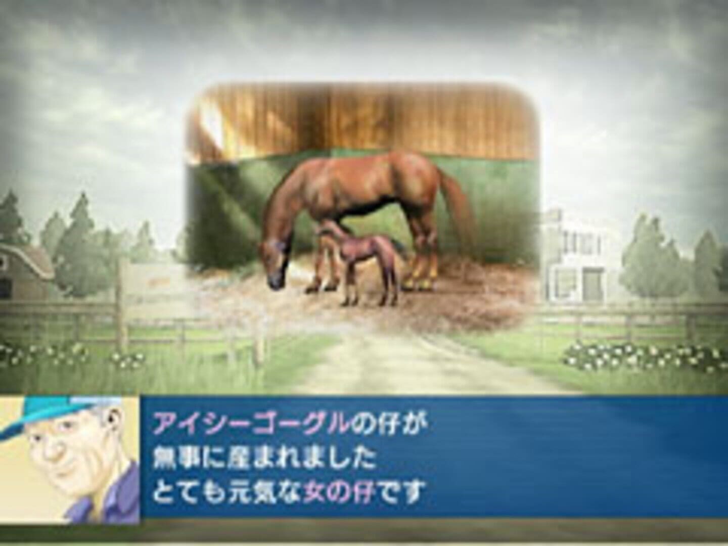 Derby Tsuku 3: Derby-Ba Wo Tsukurou! screenshot 2