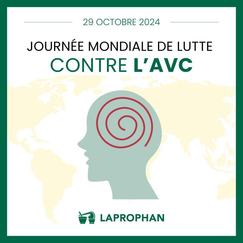 Journée mondiale de l'AVC : Prévenir pour sauver des vies