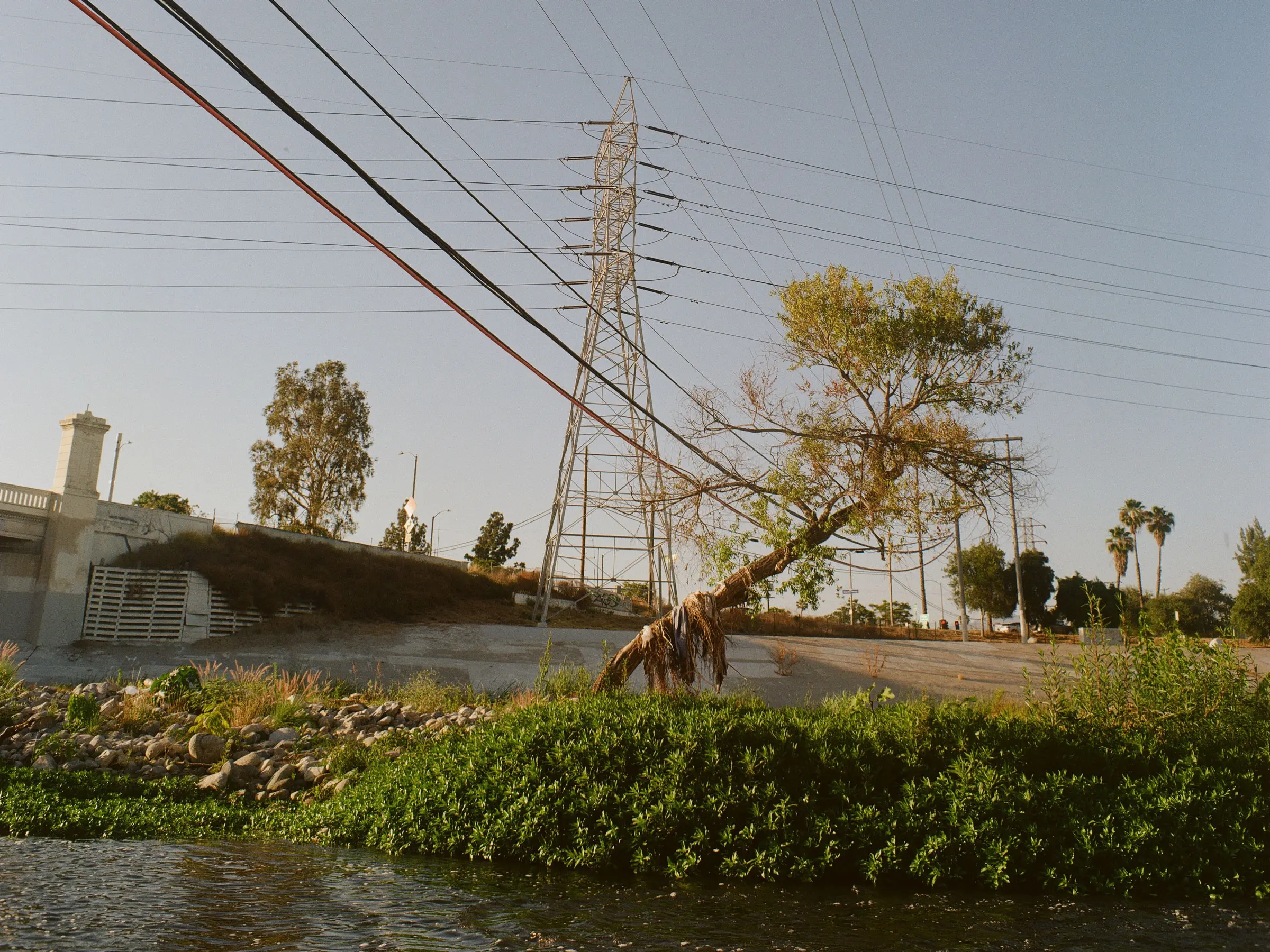 Los Angeles is a city rich with water, if only the concrete would let it flow freely.