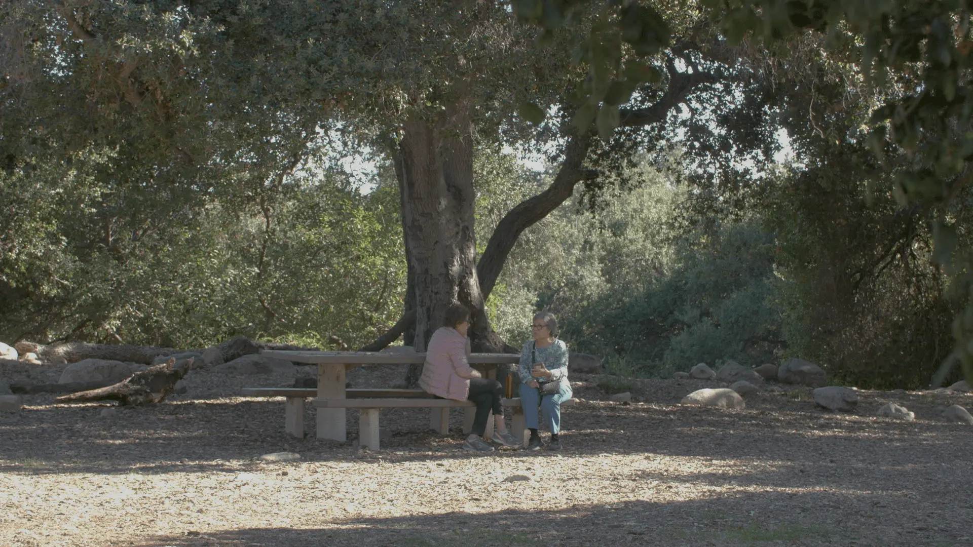 Full screen video of two women sitting and conversing on a park bench under a large tree with small illustrated animations: a worm coming up from the ground, a biker passing by, a bird flying overhead, a flower sprouting from the ground, and a butterly flying across.