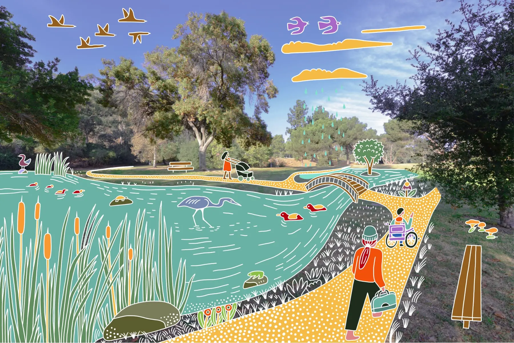 A dry, grass field overlaid with colorful illustrations of accessible pedestrian pathways and stormwater collection into a restored wetland teeming with turtles, frogs, and waterfowl.