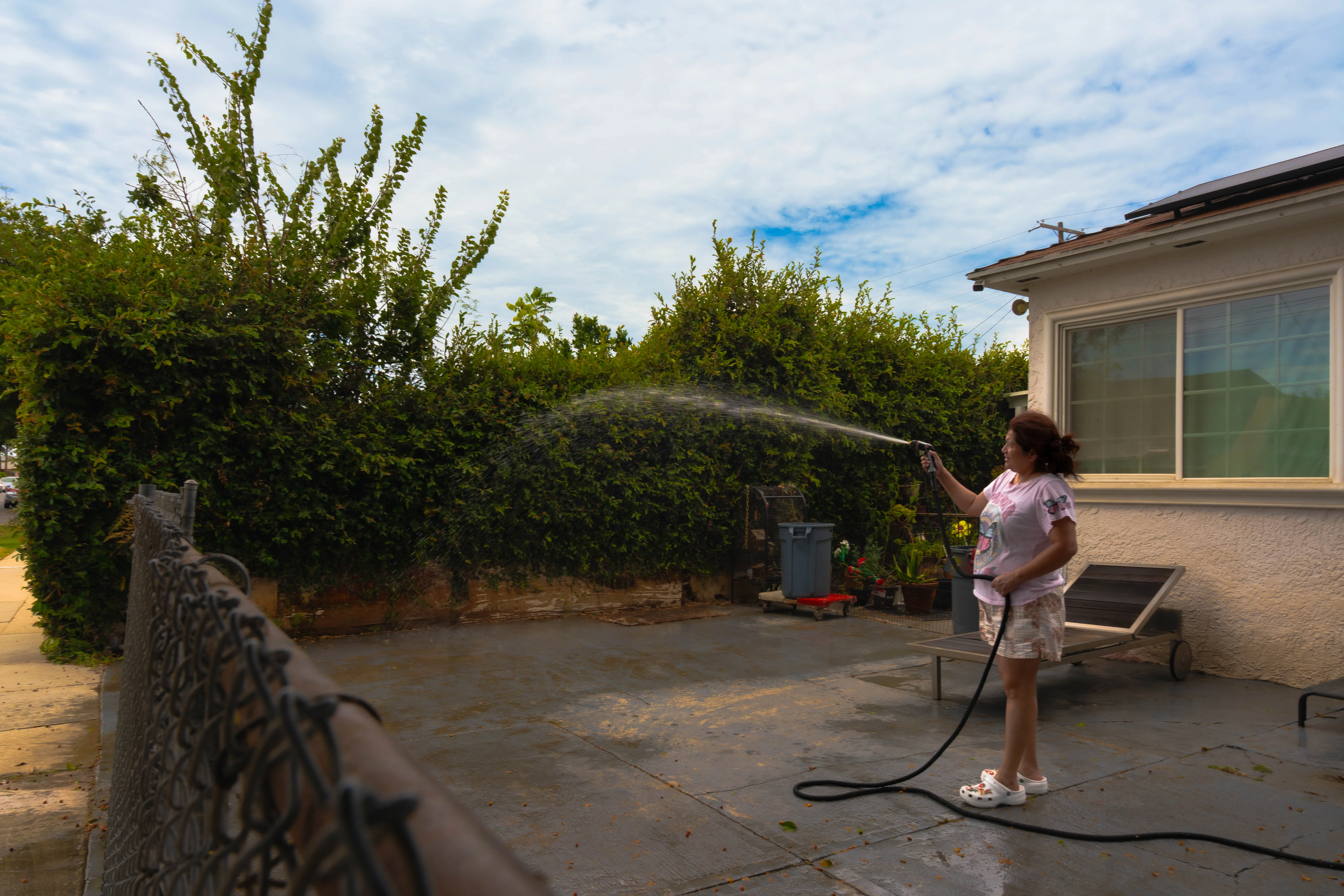 An Inglewood resident showers her flourishing bougainvillea tresses before turning the hose on the hot pavement around her yard to allow her dogs to play outside safely without burning their paws